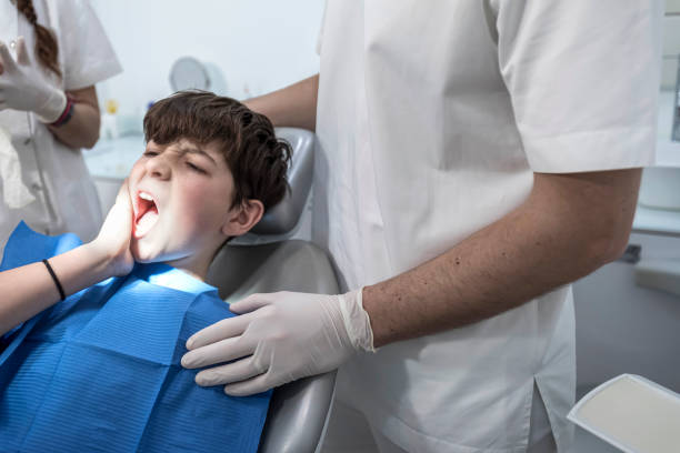 Best Emergency X-Rays and Diagnostics in Lamont, MI